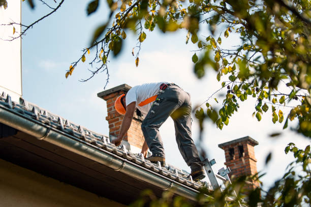 Best Roof Replacement Cost  in Harvey, ND