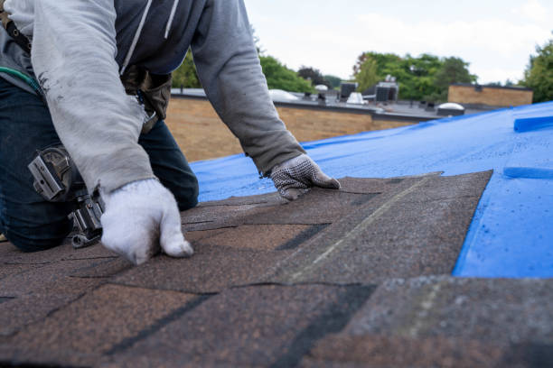 Best Best Roofing Contractors  in Harvey, ND