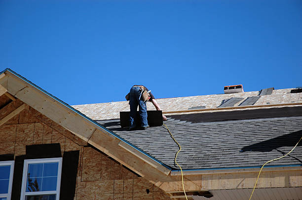 Best Roof Maintenance Services  in Harvey, ND