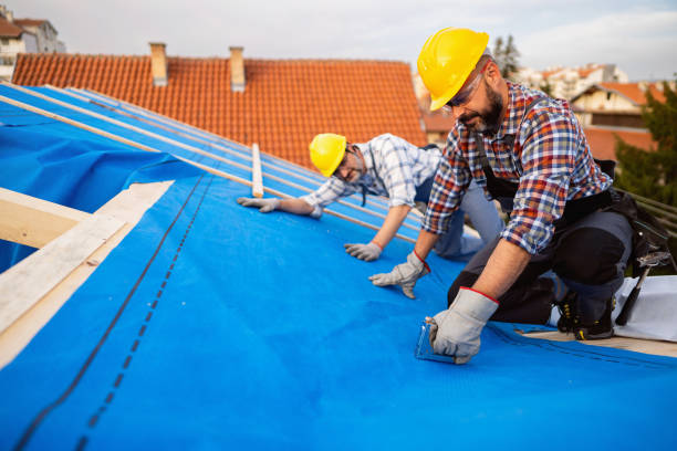 Best Residential Roof Replacement  in Harvey, ND