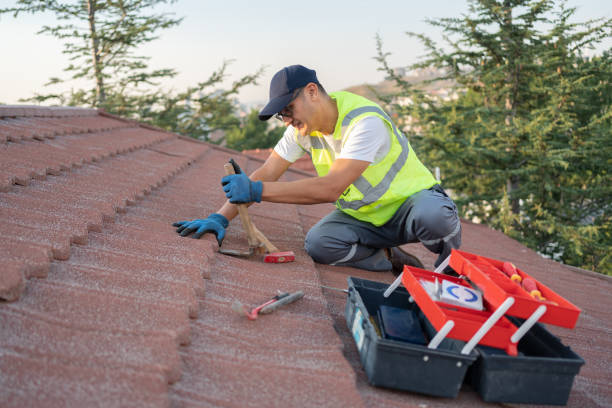 Best Roof Gutter Cleaning  in Harvey, ND