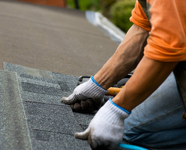 Roof Waterproofing Services in Harvey, ND