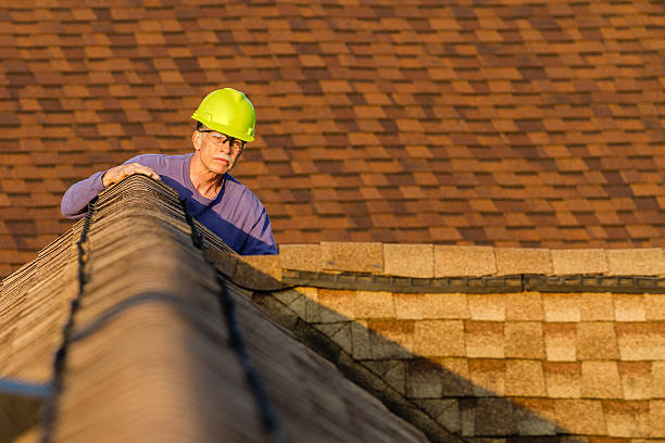 Best Roof Restoration Services  in Harvey, ND