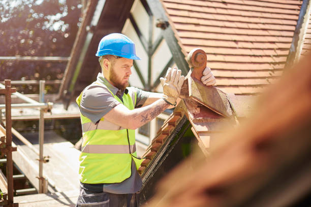 Best Residential Roofing Contractor  in Harvey, ND