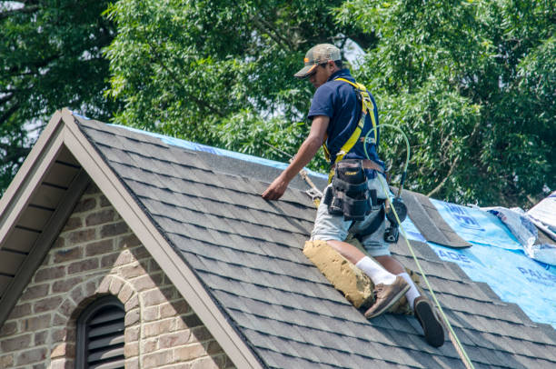 Best Local Roofing Companies  in Harvey, ND